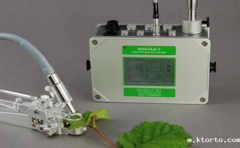 1586934617258664.jpg 20180828093842438.jpg