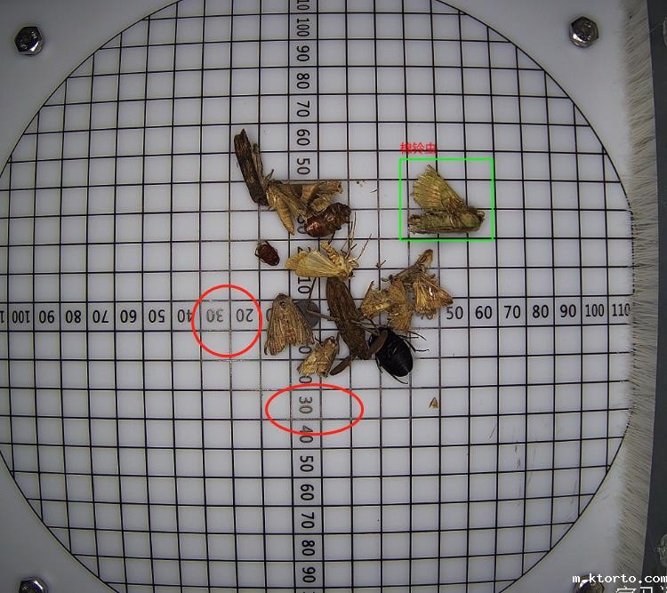 1619771820698405.jpg 1619771820698405.jpg