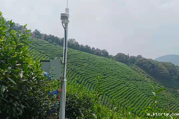 1635479711550608.jpg 茶园ag九游会网点.jpg