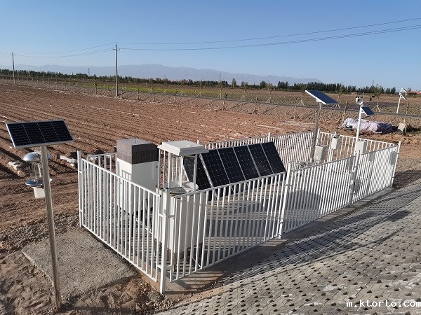 虫情监测图片3 虫情监测图片3