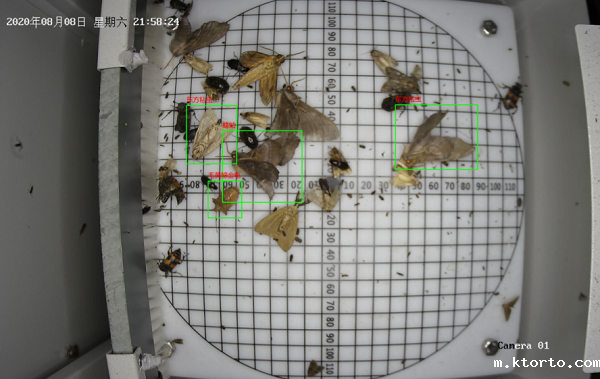 太阳能自动虫情测报灯图片3