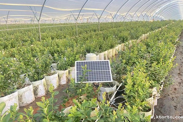 大棚温度自动控制系统图片 大棚温度自动控制系统图片