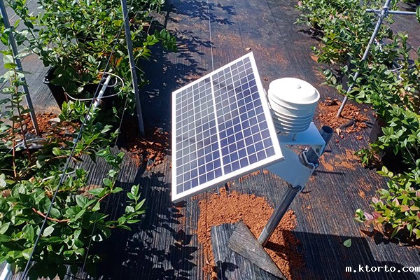 田间ag九游会网点 图片1 田间ag九游会网点 图片1