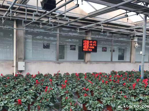 大棚蔬菜控制系统图片3 大棚蔬菜控制系统图片3
