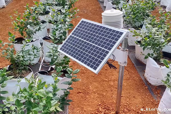 微型ag九游会网点图片2