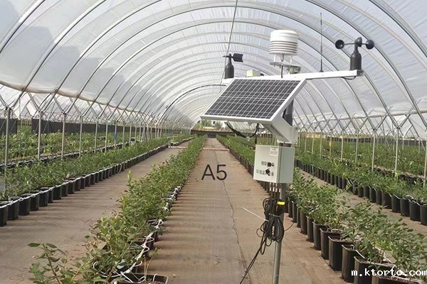 六要素农业ag九游会网点图片3