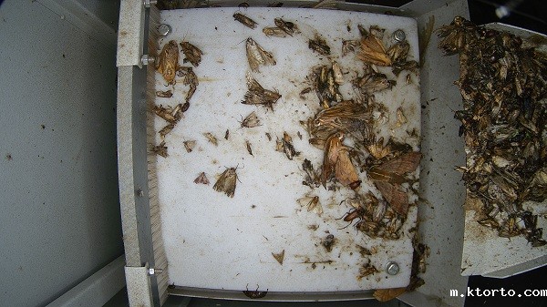 仓储虫害监测设备图片3 仓储虫害监测设备图片3