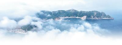 布设捕捉害虫的“天网” 图片1 布设捕捉害虫的“天网” 图片1