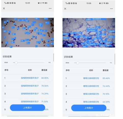 物联网智能孢子捕捉系统图片4 物联网智能孢子捕捉系统图片4