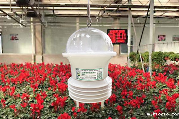 便携式温湿度测量仪图片2 便携式温湿度测量仪图片2