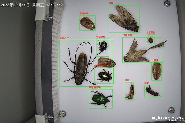 自动虫情测报灯图片6 自动虫情测报灯图片6