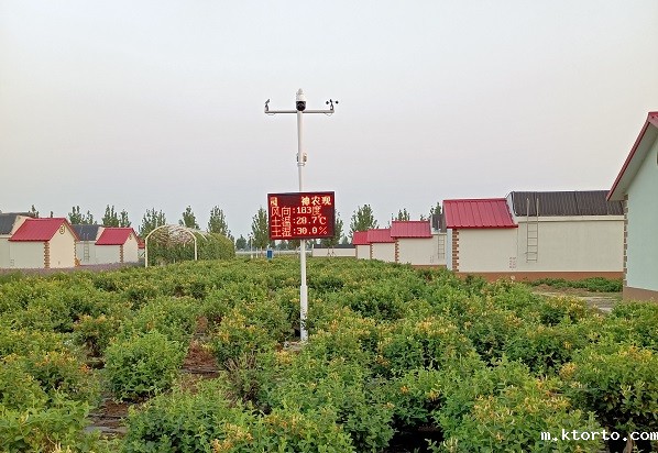 农业ag九游会网点图片4