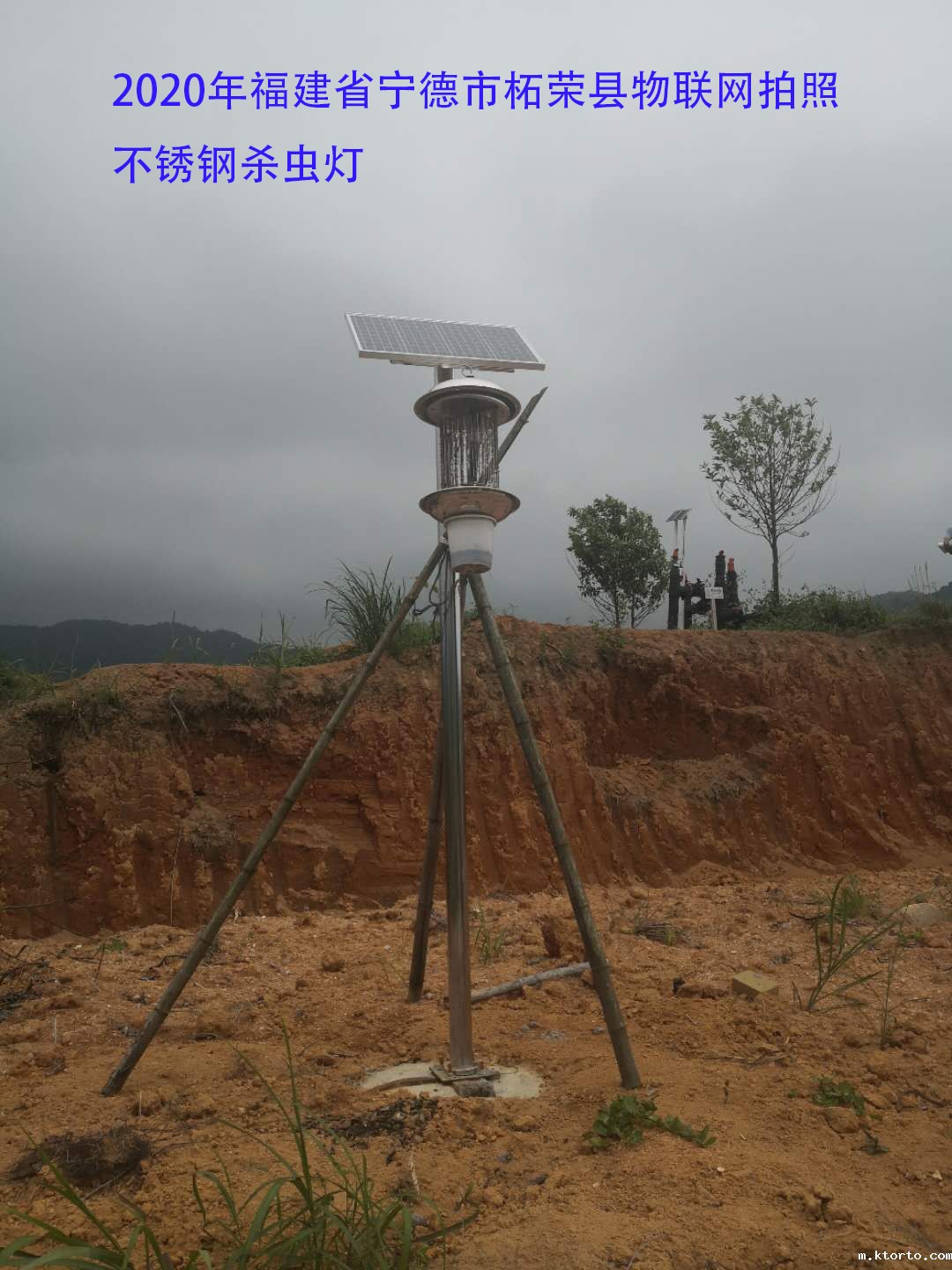福建省宁德市柘荣县物联网杀虫灯